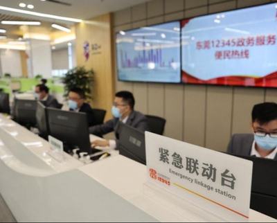 以“莞”家情怀，筑服务型政府信息咨询新标杆